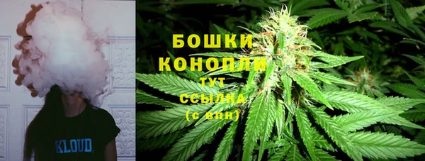 кокс Белокуриха