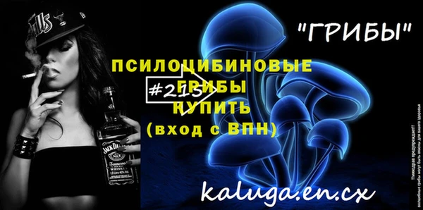 кокс Белокуриха